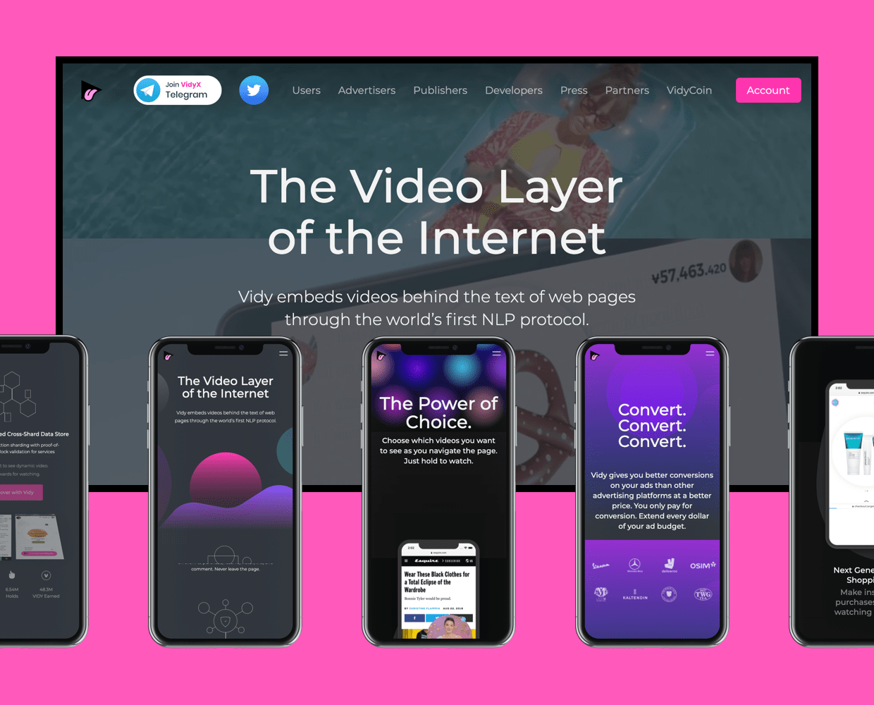 Vidy